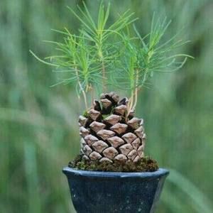 Meet your Posher, Jan